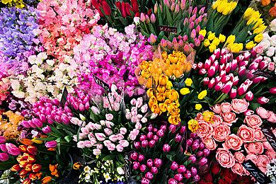 青春RPG《循环8 降神》 将于2023年3月16日发售